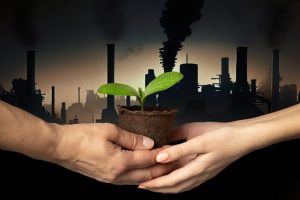2. Carbon Market Leadership 2. Carbon Market Leadership